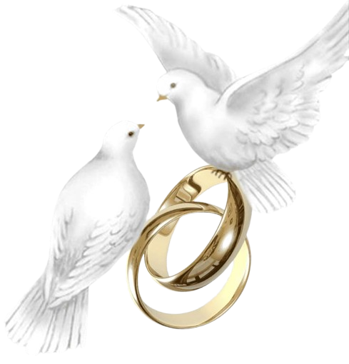 0f40f361f8ad0146edf40a37c829ea37-removebg-preview.png 0f40f361f8ad0146edf40a37c829ea37-removebg-preview.png